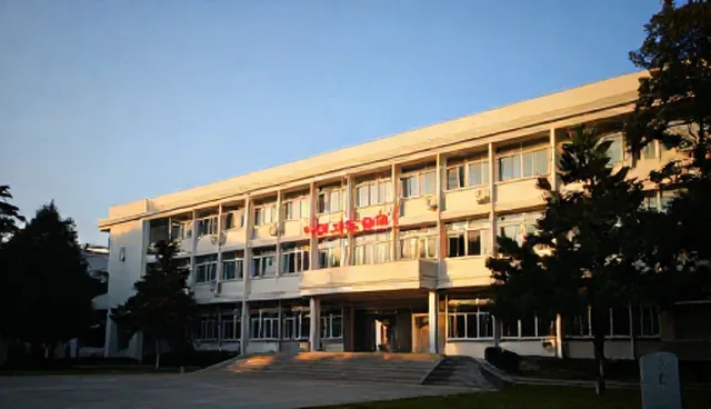 年度税务筹划方案:自主操作与代理记账的取舍分析